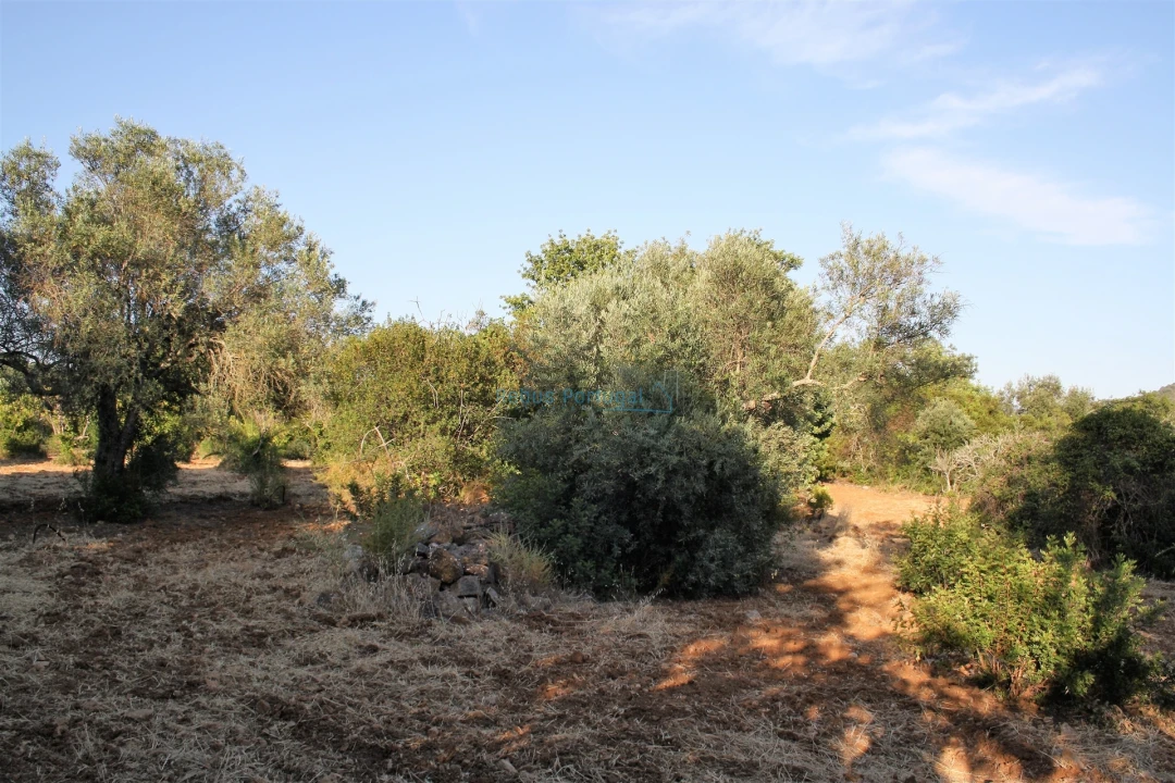 Terreno para Venda em Loule (São Clemente) Foto 7