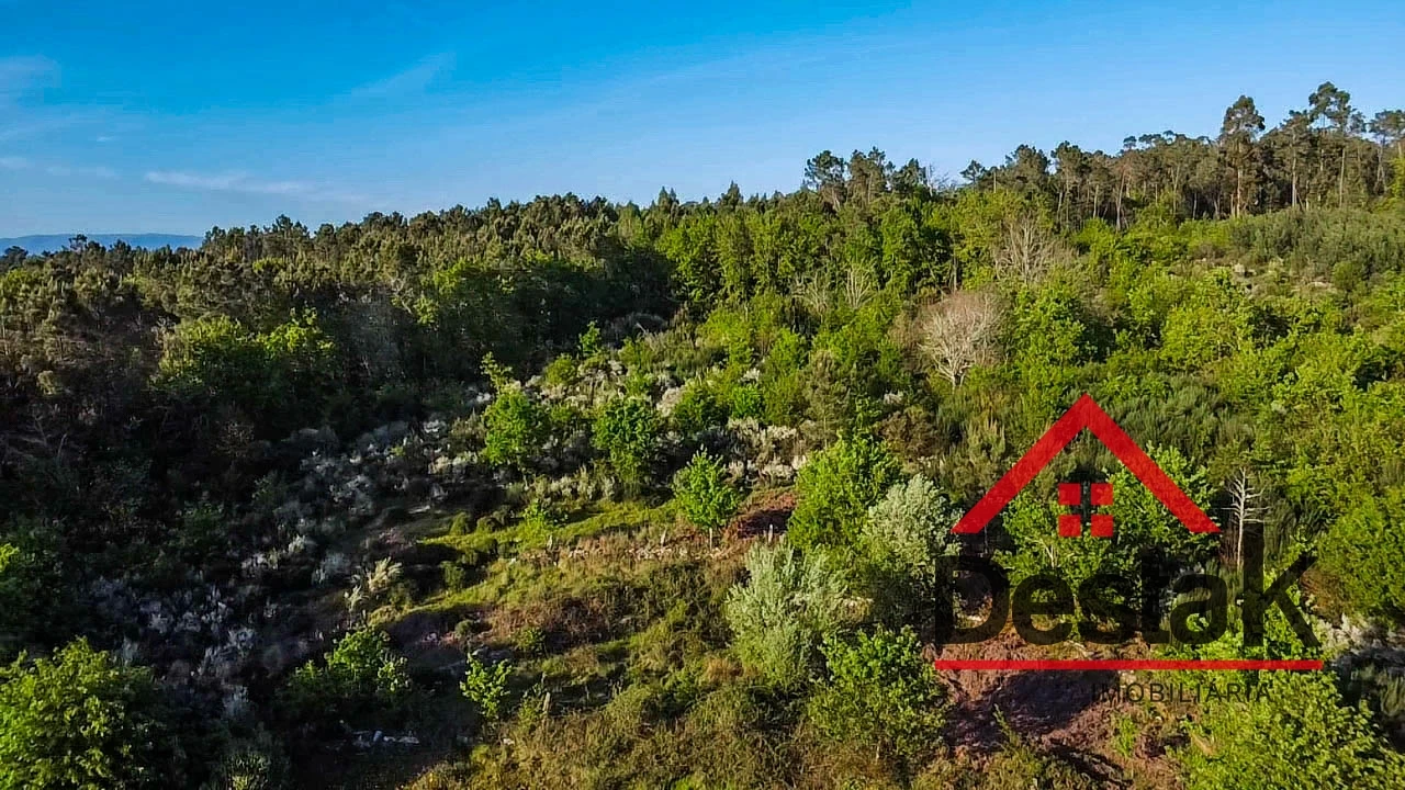 Terreno Agricola ou Rústico para Venda em Bodiosa Foto 23