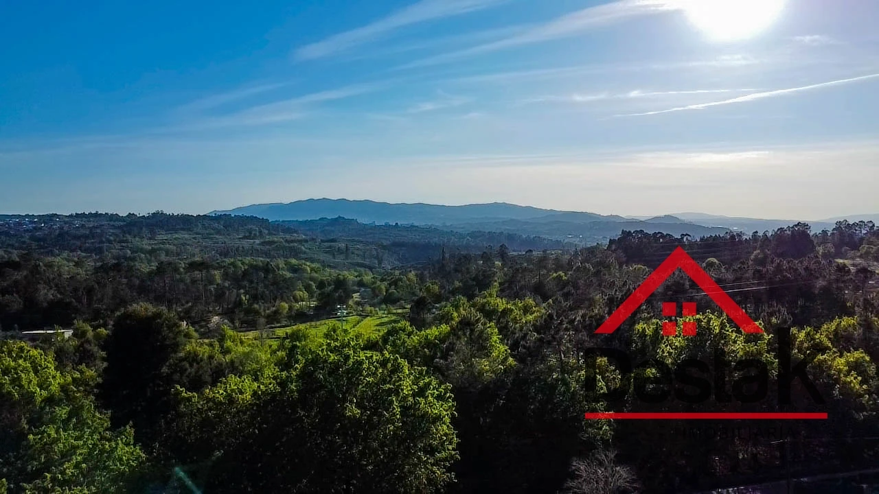 Terreno Agricola ou Rústico para Venda em Bodiosa Foto 21