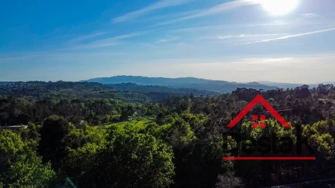 Terreno Agricola ou Rústico para Venda em Bodiosa
