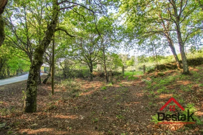 Terreno Agricola ou Rústico para Venda em Bodiosa