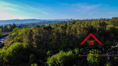 Terreno Agricola ou Rústico para Venda em Bodiosa