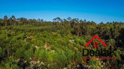 Terreno Agricola ou Rústico para Venda em Bodiosa