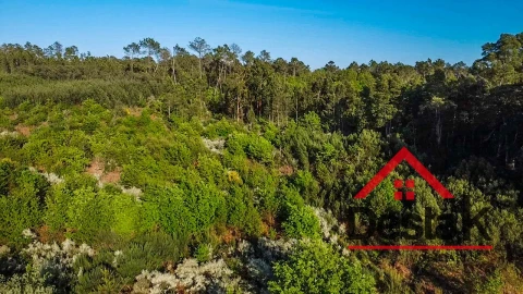 Terreno Agricola ou Rústico para Venda em Bodiosa