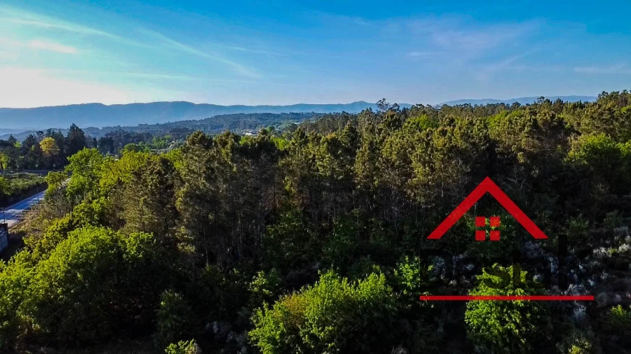 Terreno Agricola ou Rústico para Venda em Bodiosa Foto 24