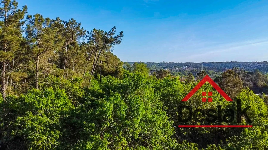 Terreno Agricola ou Rústico para Venda em Bodiosa Foto 18