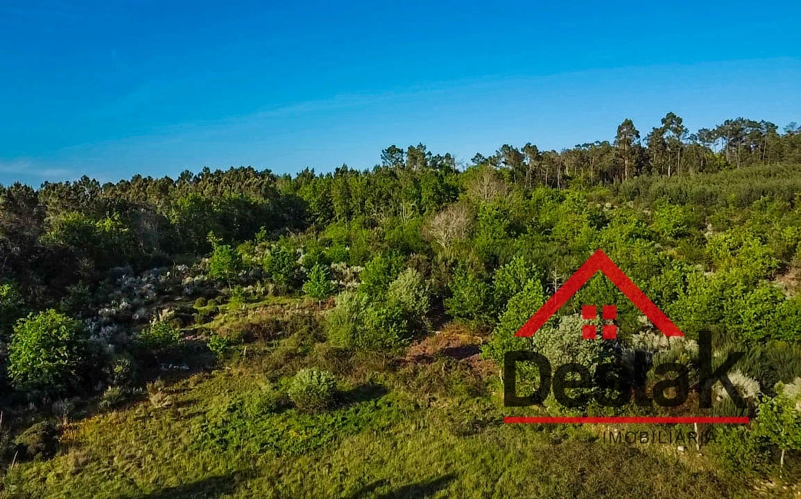 Terreno Agricola ou Rústico para Venda em Bodiosa Foto 17