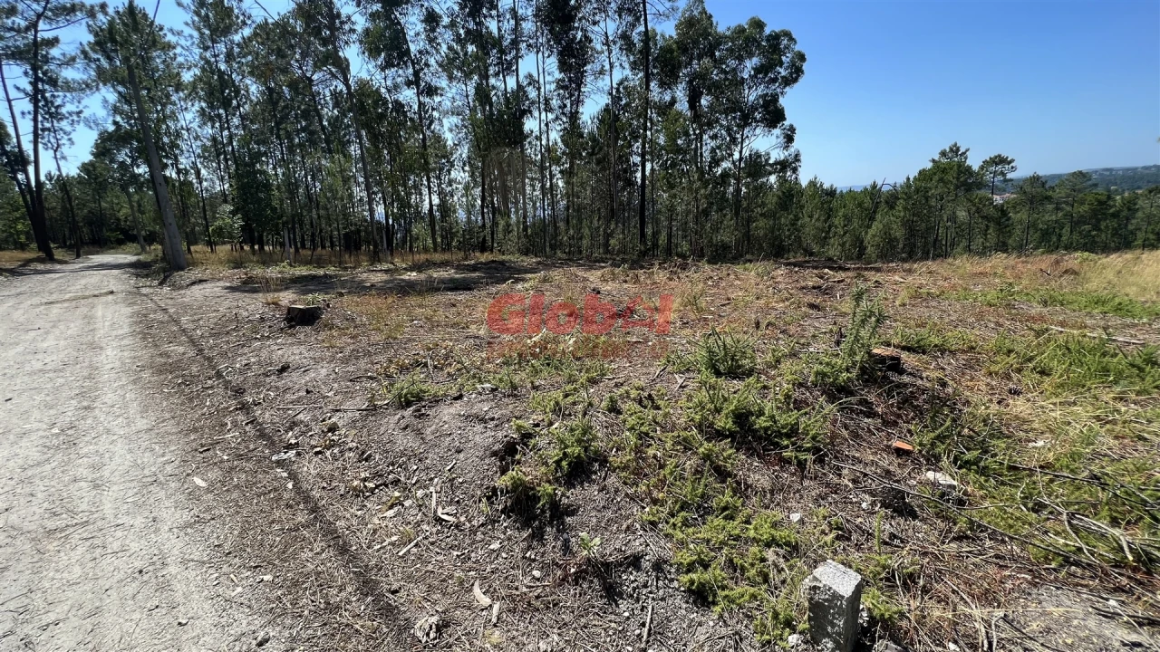 Terreno para Venda em São João de Lourosa Foto 2