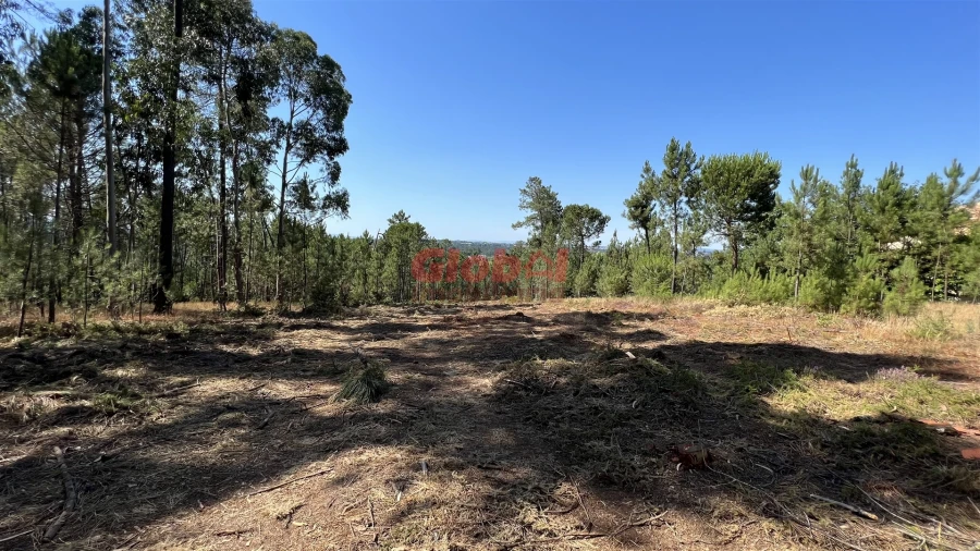 Terreno para Venda em São João de Lourosa Foto 3