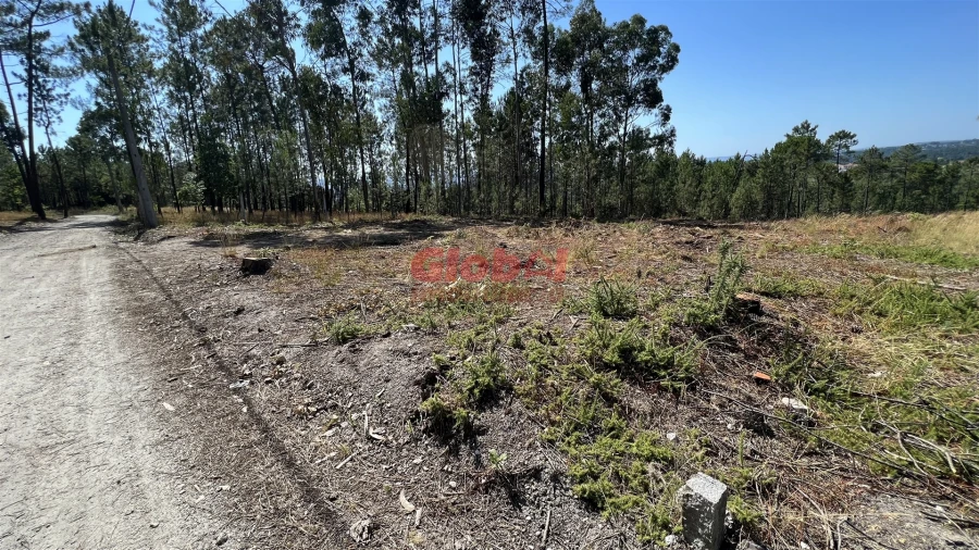 Terreno para Venda em São João de Lourosa Foto 2