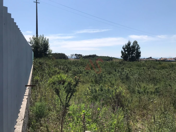 Terreno para Venda em Revinhade Foto 5