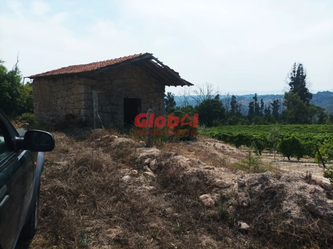 Quinta T0 para Venda em Santar e Moreira Foto 3