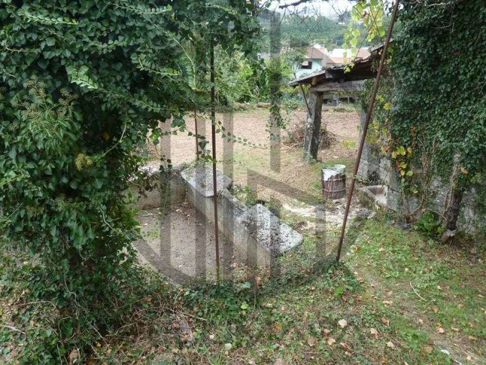 Quinta T5 para Venda em Ruivães e Campos Foto 5