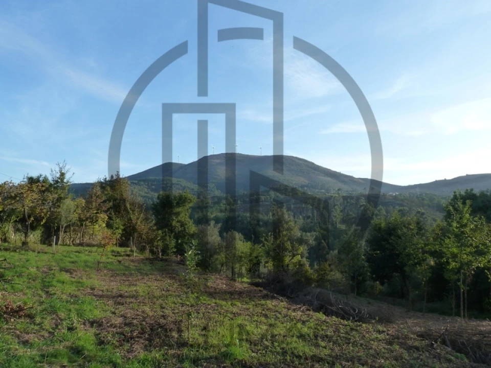 Quinta T5 para Venda em Ruivães e Campos Foto 6