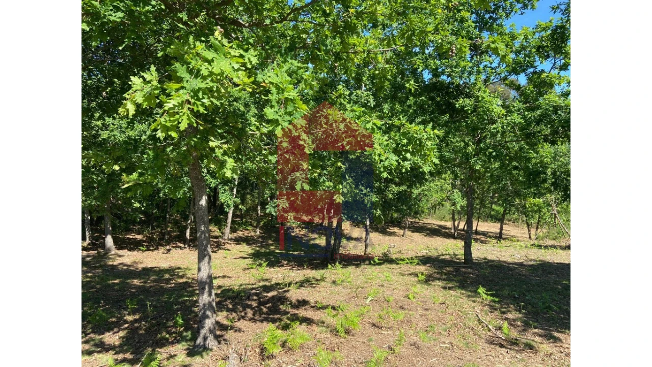 Terreno para Venda em Vade Foto 9