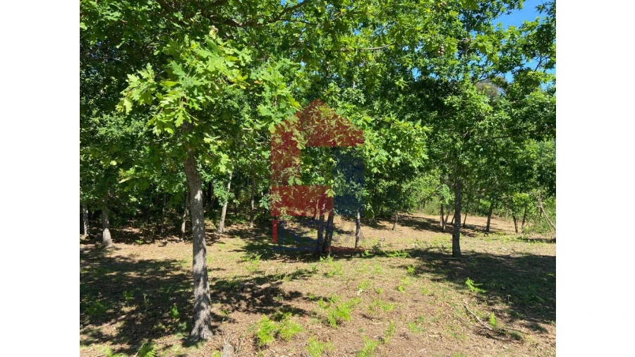Terreno para Venda em Vade Foto 9
