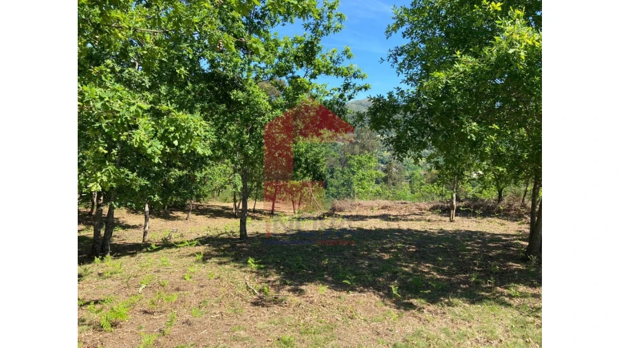 Terreno para Venda em Vade Foto 6