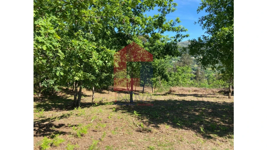 Terreno para Venda em Vade Foto 8
