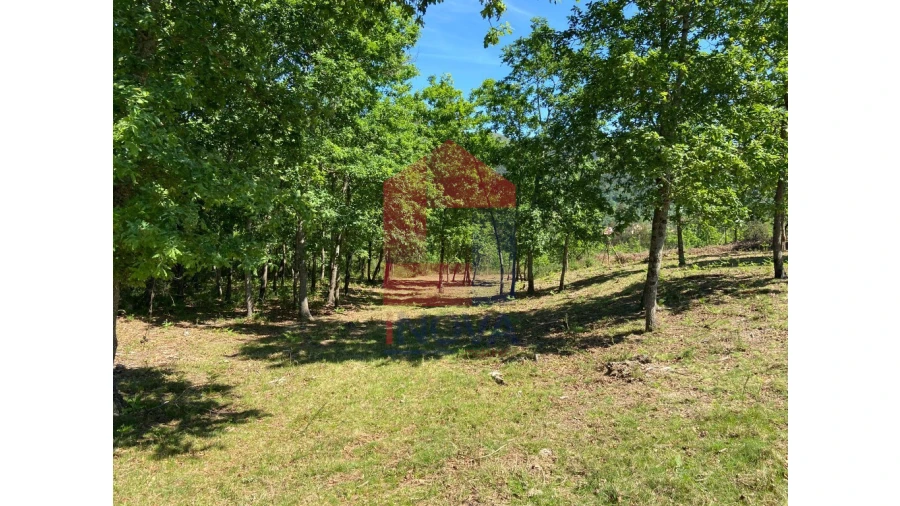 Terreno para Venda em Vade Foto 5