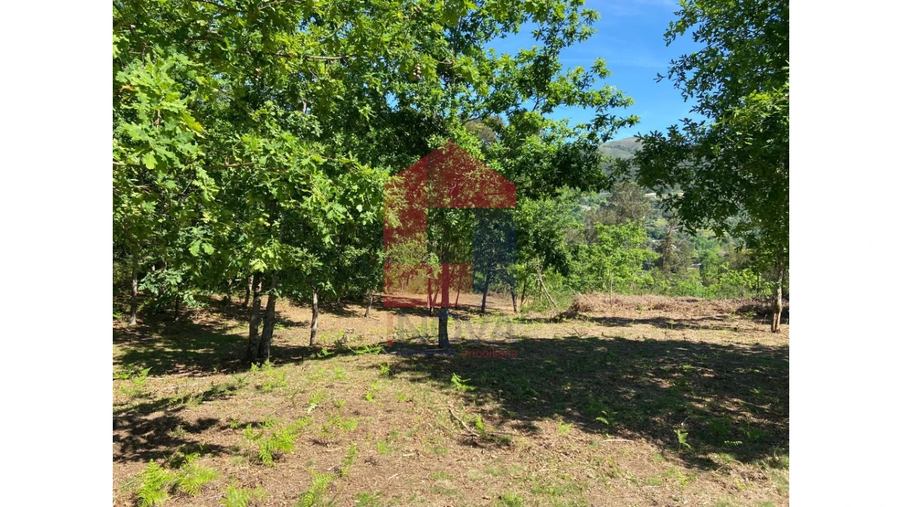 Terreno para Venda em Vade Foto 8