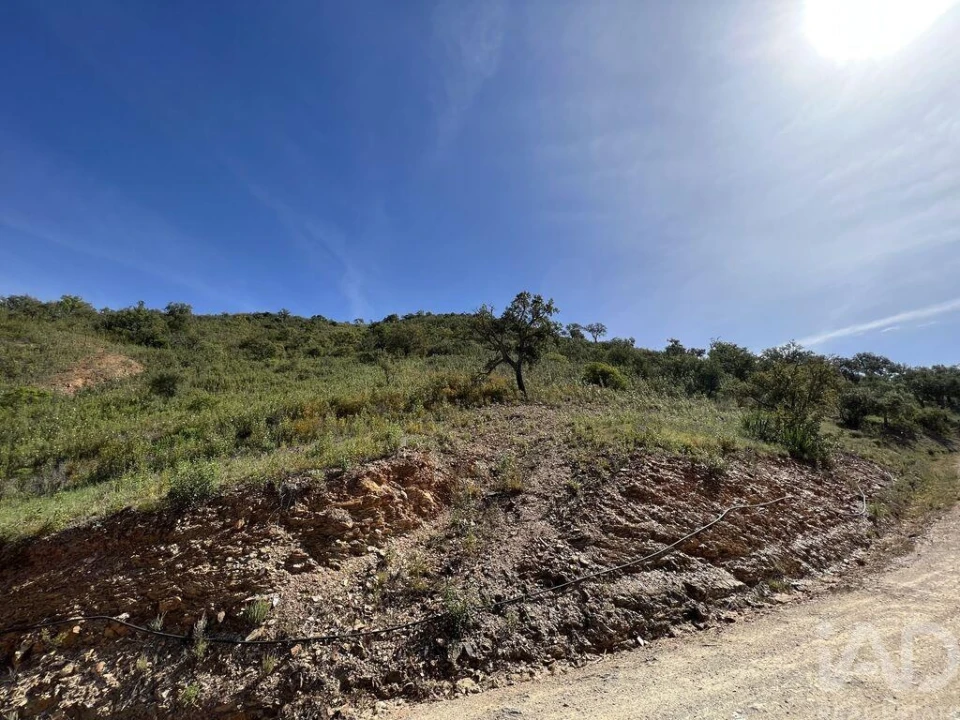 Terreno para Venda em Alte Foto 5