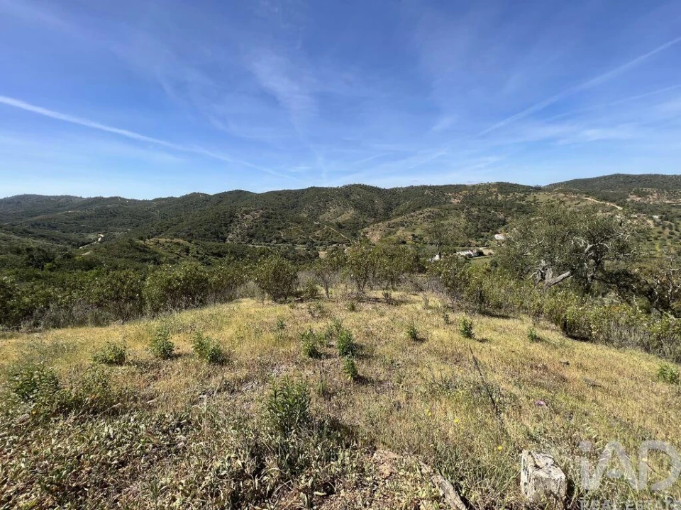 Terreno para Venda em Alte Foto 2
