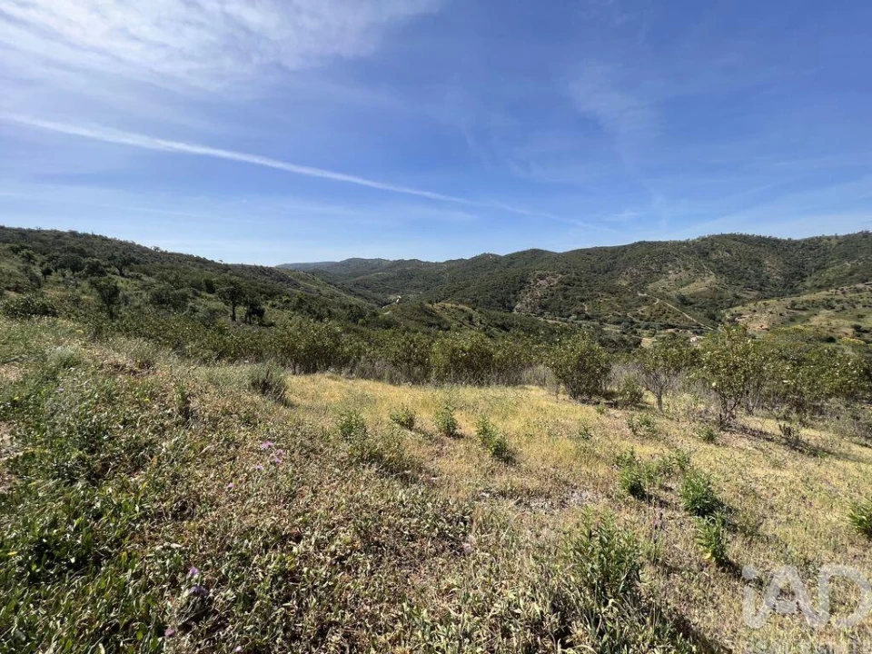 Terreno para Venda em Alte Foto 1