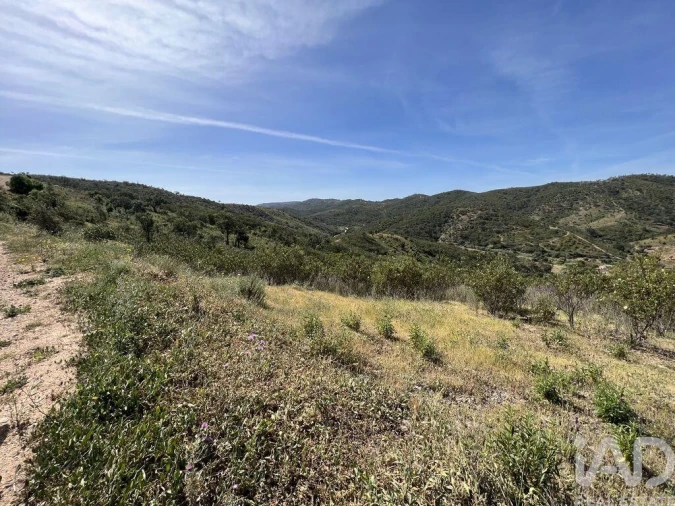 Terreno para Venda em Alte Foto 3