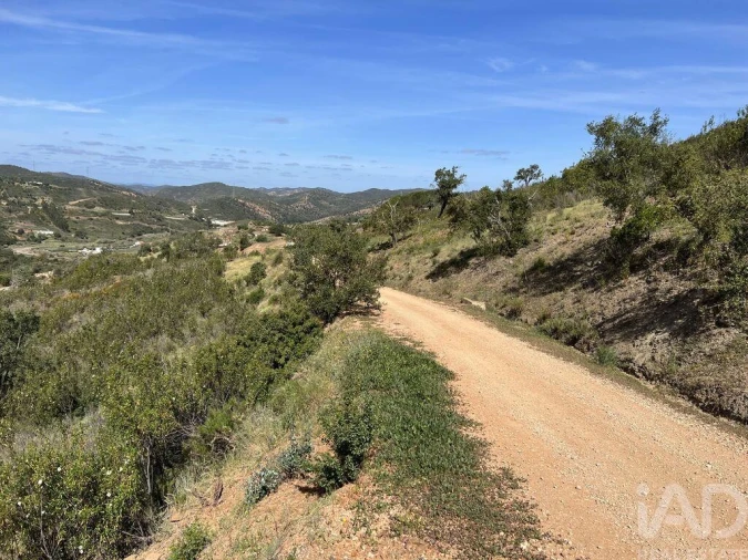 Terreno para Venda em Alte Foto 9