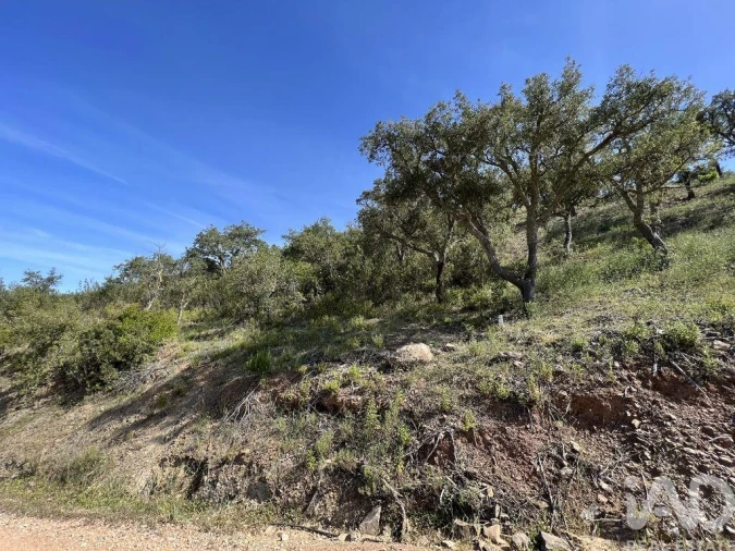 Terreno para Venda em Alte Foto 4
