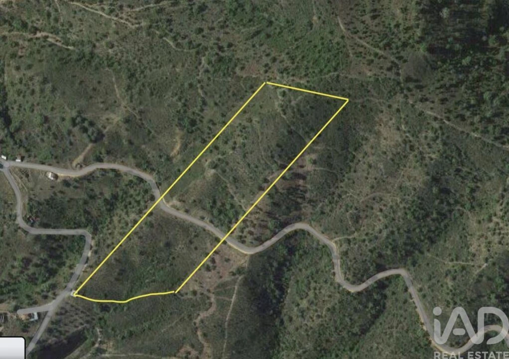 Terreno para Venda em Alte Foto 11