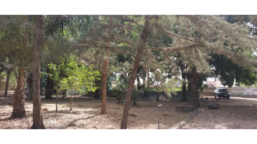 Armazém para Venda em Algueirão-Mem Martins Foto 6