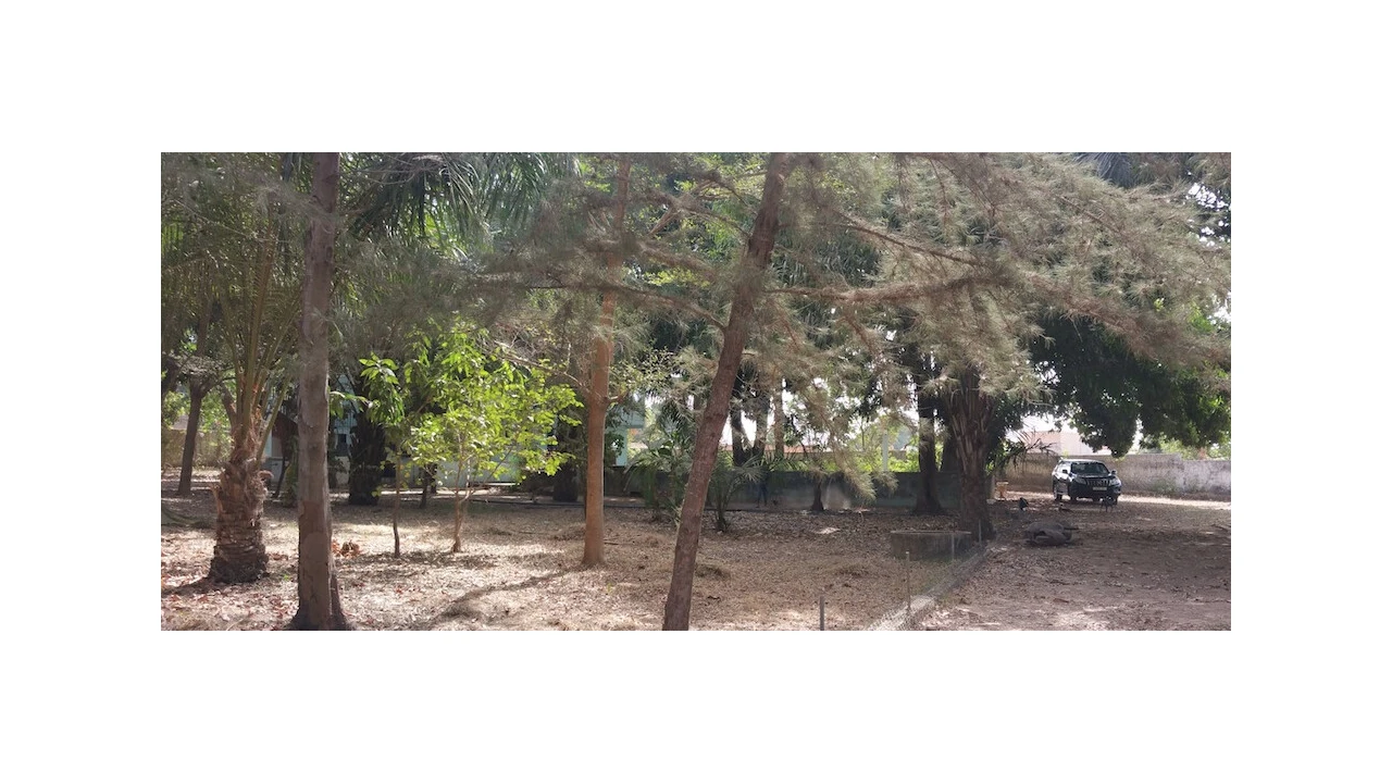 Armazém para Venda em Algueirão-Mem Martins Foto 6