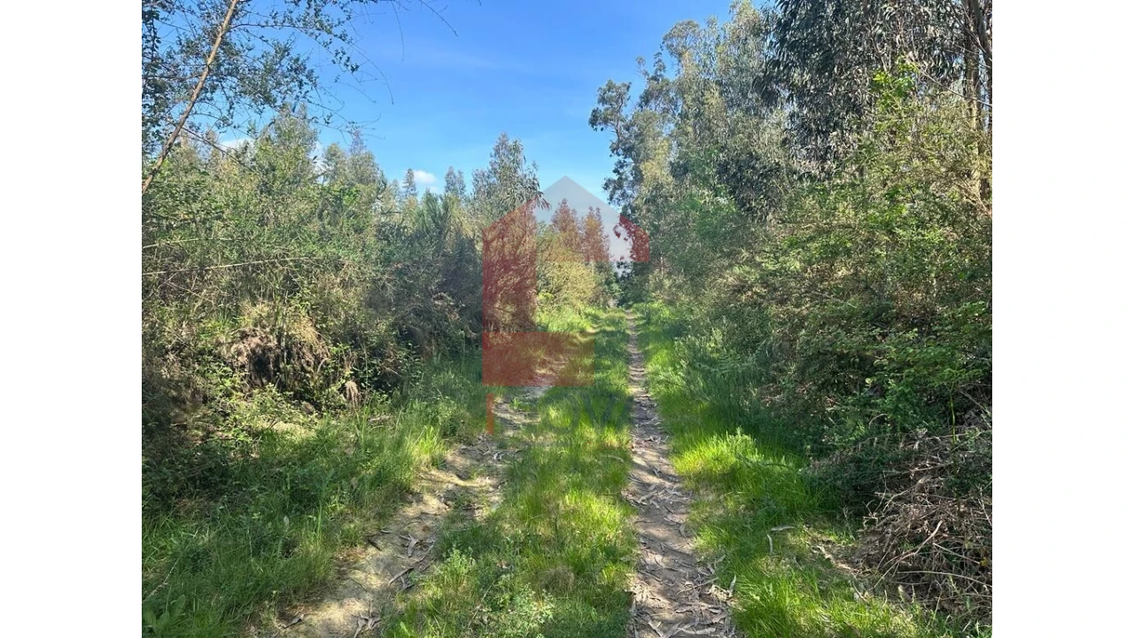 Terreno para Venda em Lanhas Foto 6