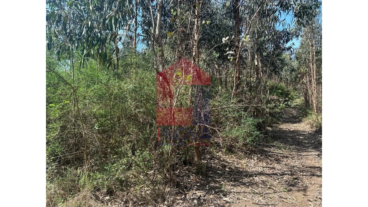 Terreno para Venda em Lanhas Foto 9