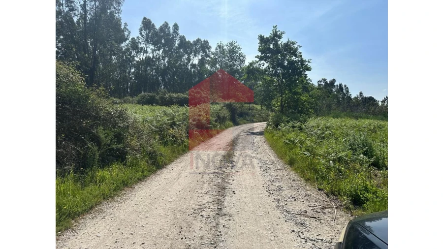 Terreno para Venda em Lanhas Foto 10