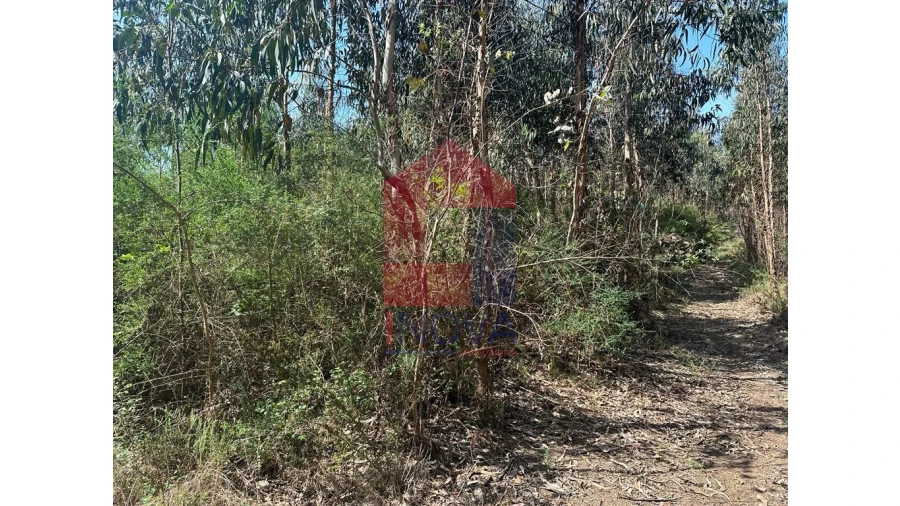 Terreno para Venda em Lanhas Foto 9