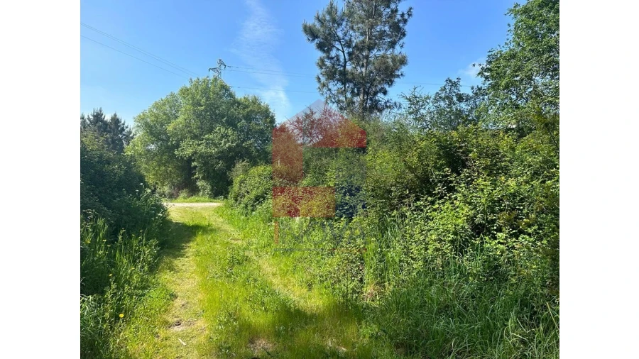 Terreno para Venda em Lanhas Foto 8