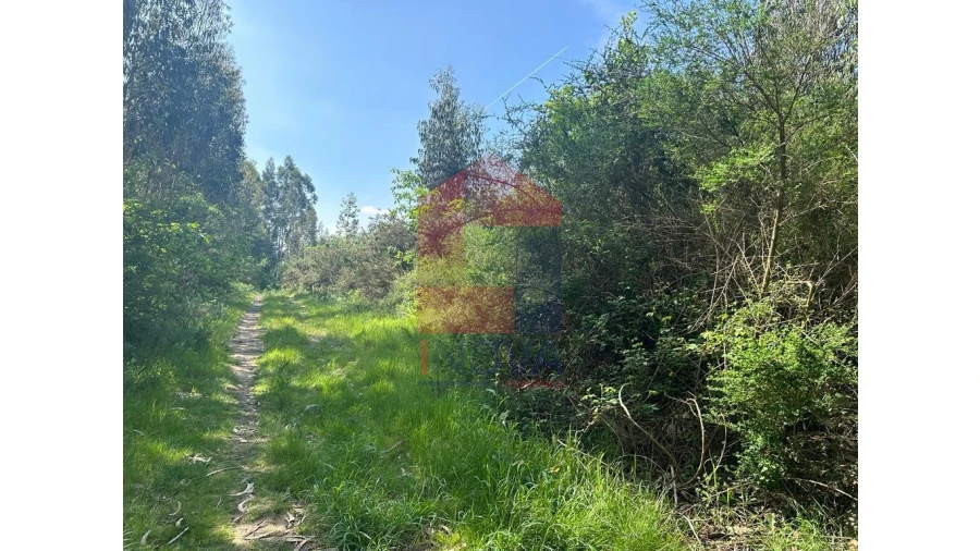 Terreno para Venda em Lanhas Foto 7