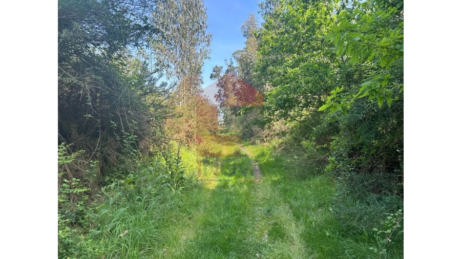 Terreno para Venda em Lanhas Foto 3