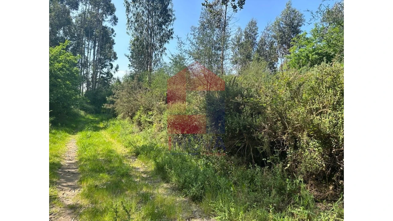 Terreno para Venda em Lanhas Foto 1