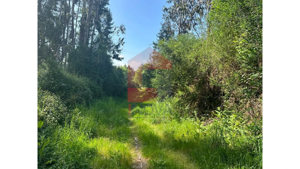 Terreno para Venda em Lanhas Foto 4