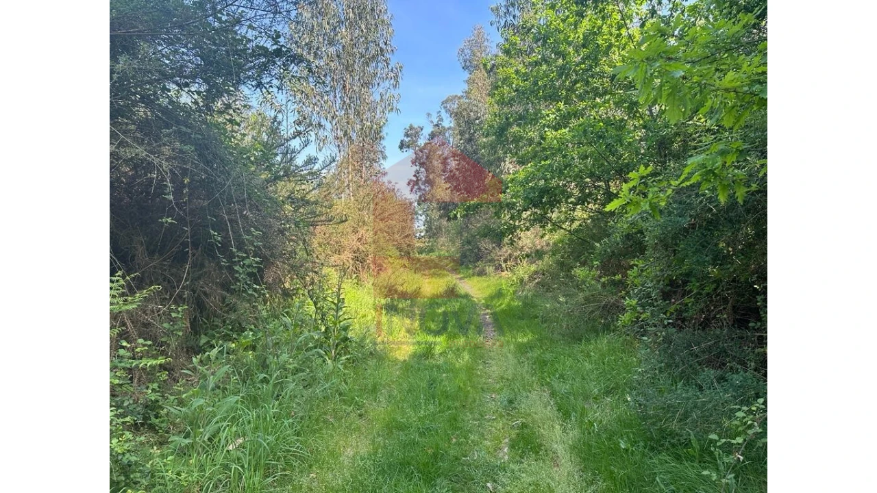 Terreno para Venda em Lanhas Foto 3