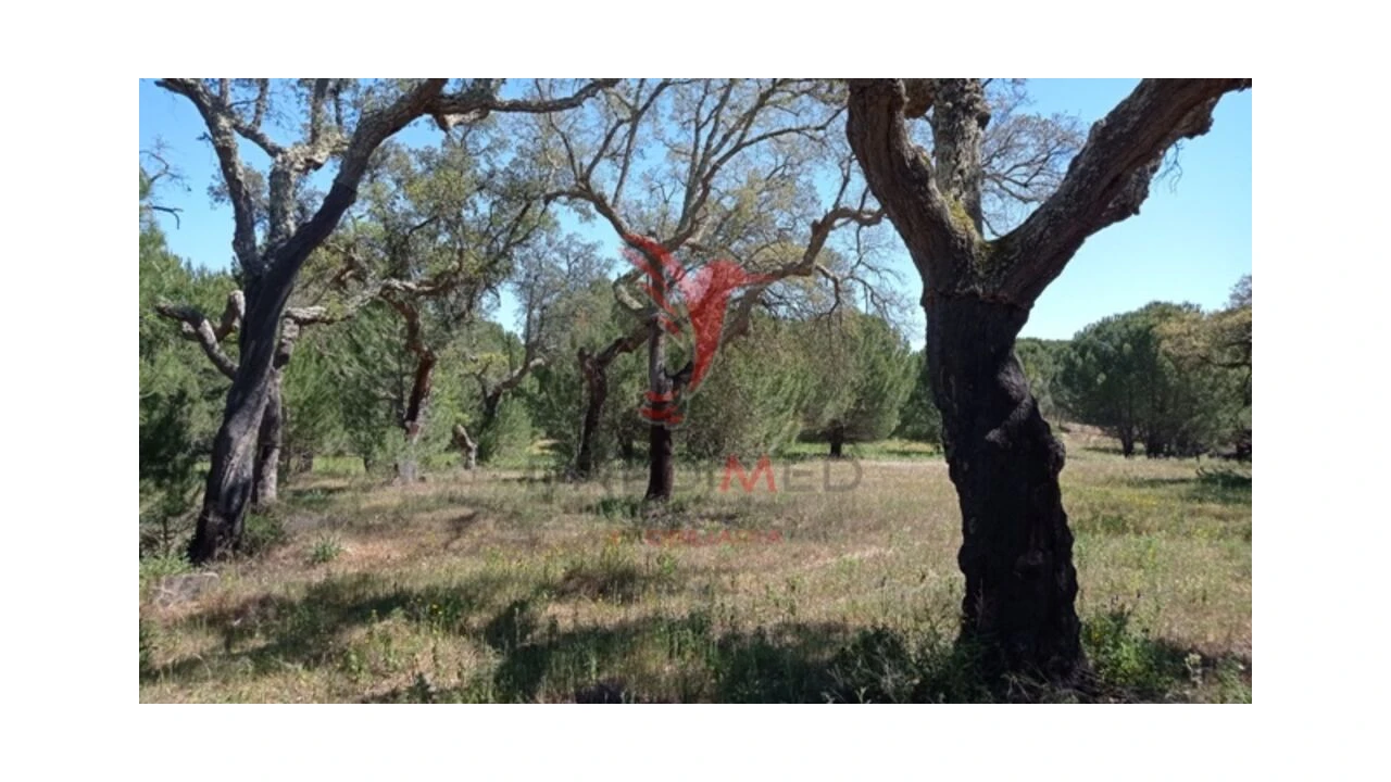 Terreno para Venda em Couço Foto 7