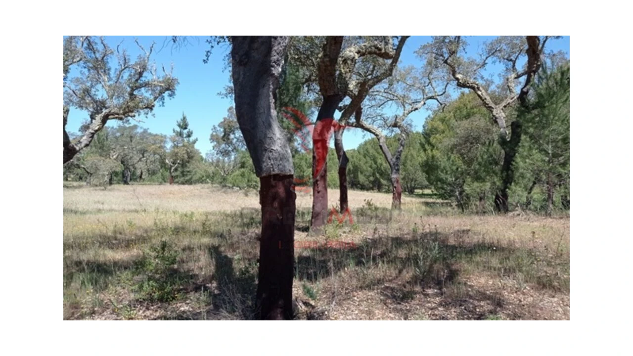 Terreno para Venda em Couço Foto 4
