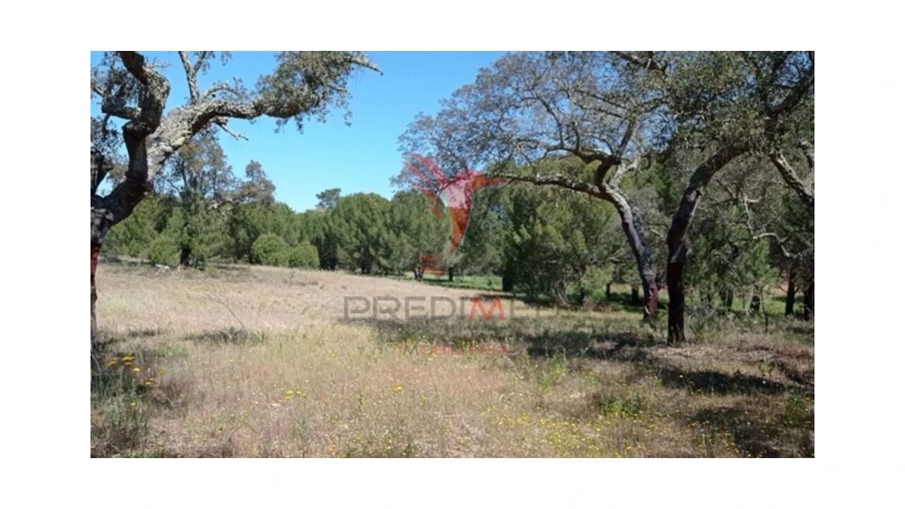 Terreno para Venda em Couço Foto 5