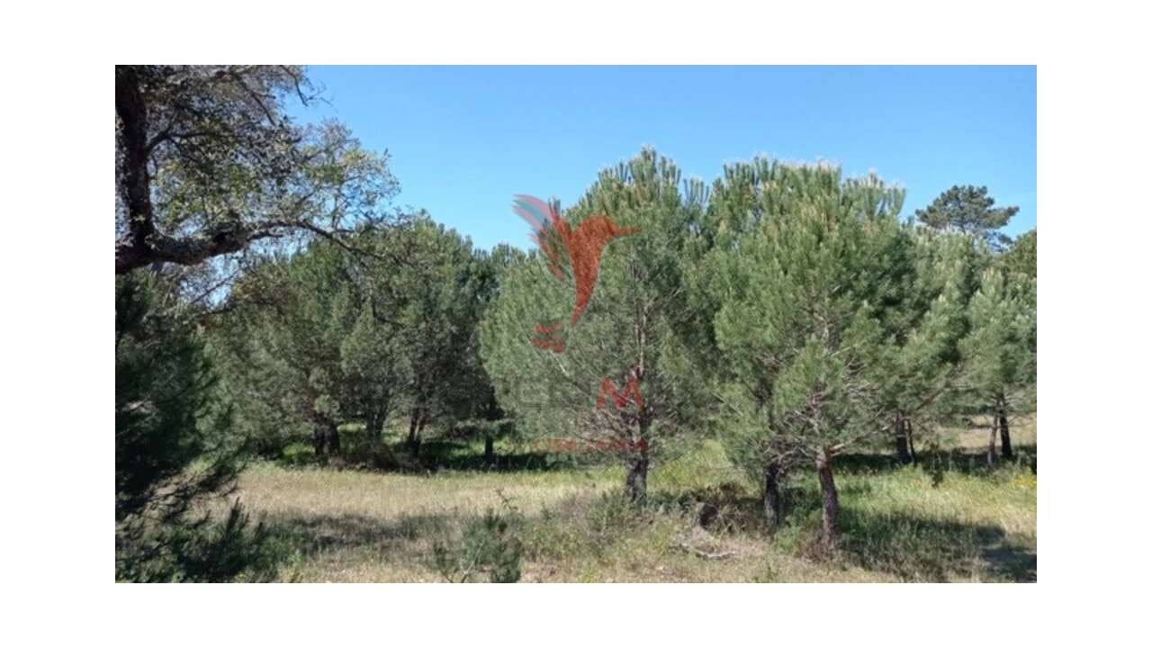 Terreno para Venda em Couço Foto 8