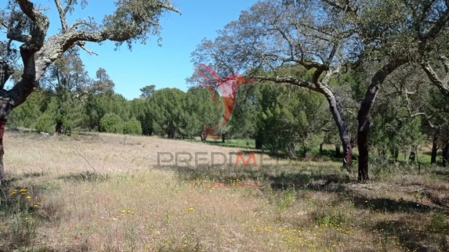 Terreno para Venda em Couço Foto 5