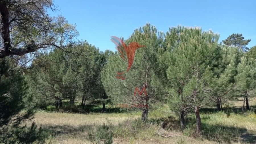 Terreno para Venda em Couço Foto 8
