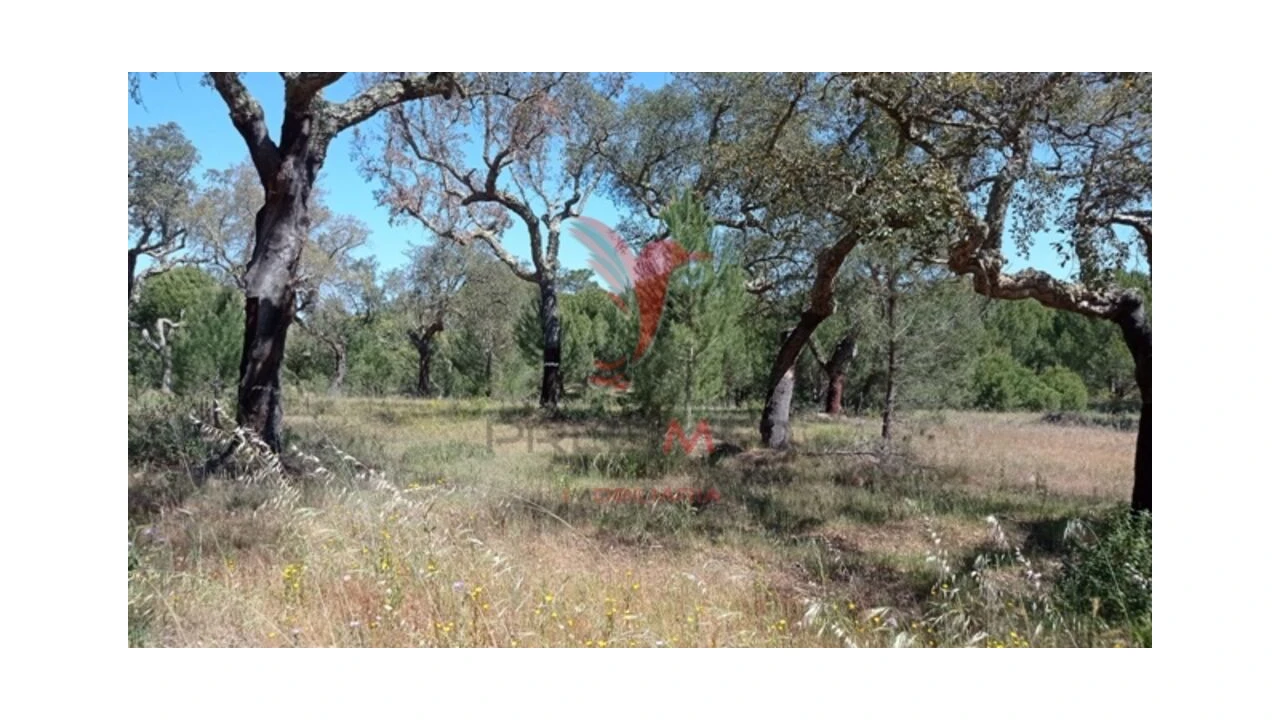 Terreno para Venda em Couço Foto 6